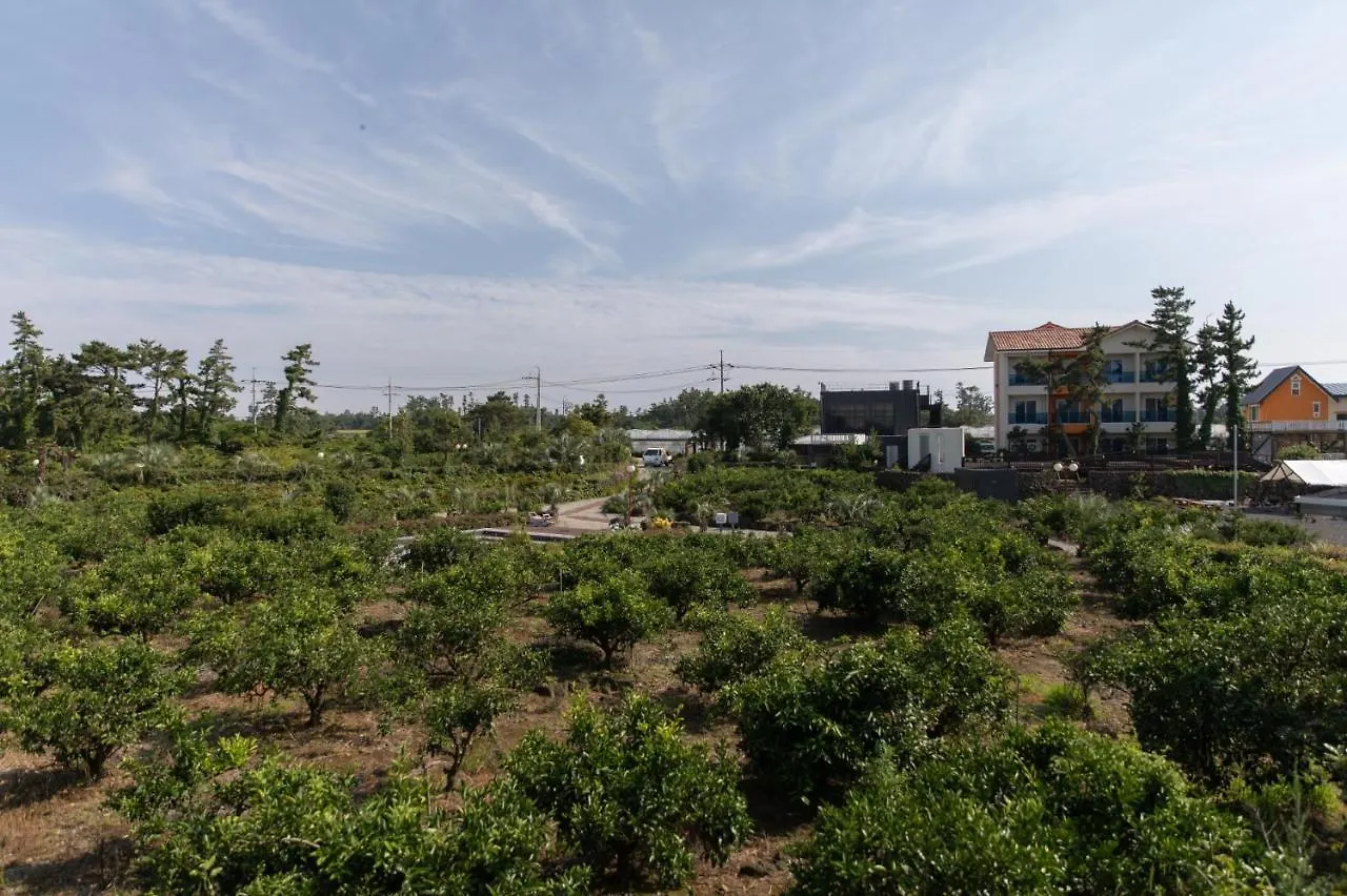Gamgulhyanggi Healing Park Otel Jeju